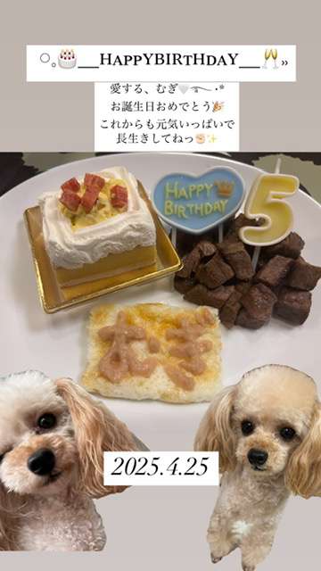 お祝いオンパレーーード