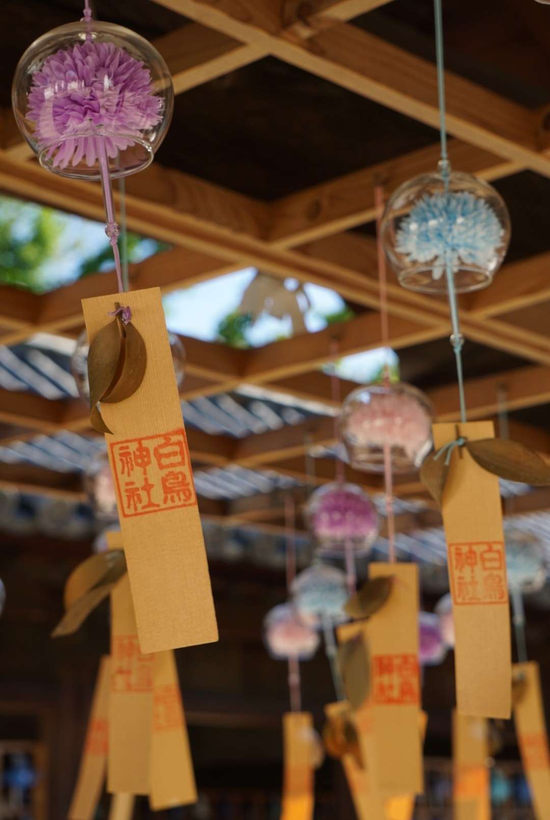 いい風が吹きますように(^^♪