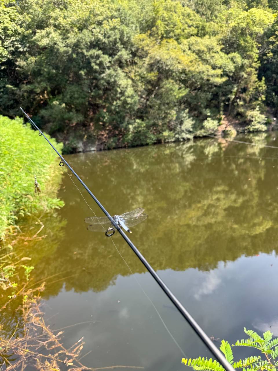 秋！って感じ☆