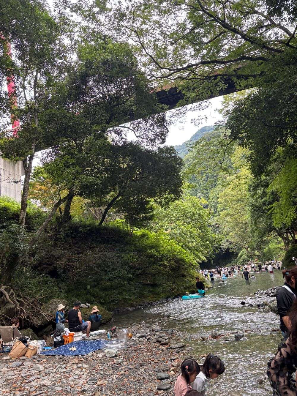 霧の森へ行きました