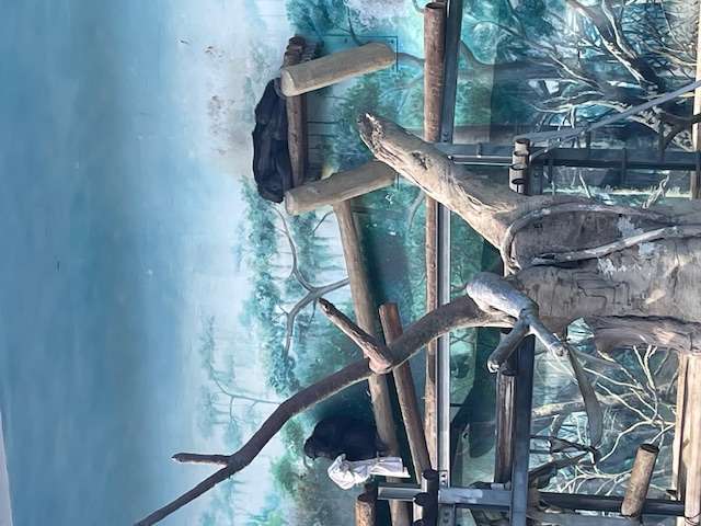 動物たちに癒された休日～