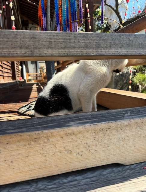 ご利益ありました(^^♪