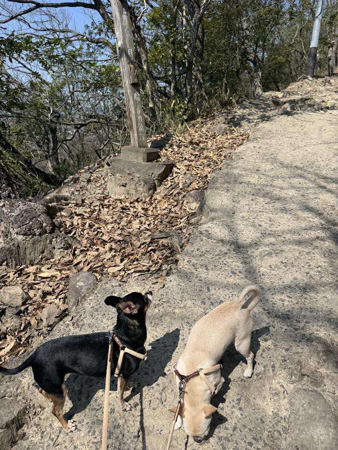 ご無沙汰しております